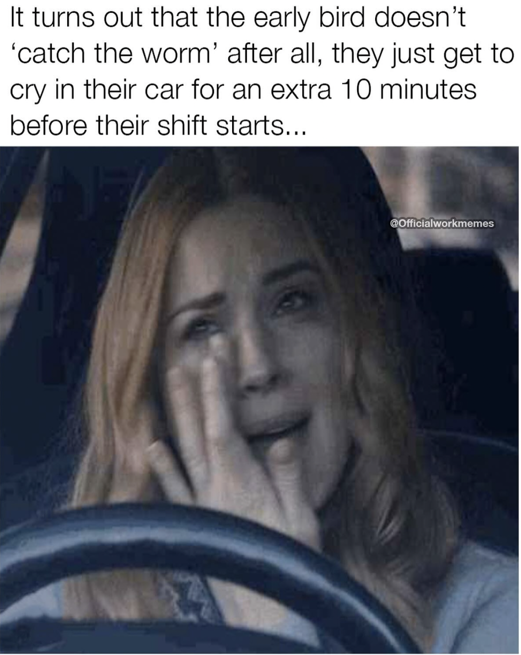 photo caption - It turns out that the early bird doesn't 'catch the worm' after all, they just get to cry in their car for an extra 10 minutes before their shift starts... Officialworkmemes